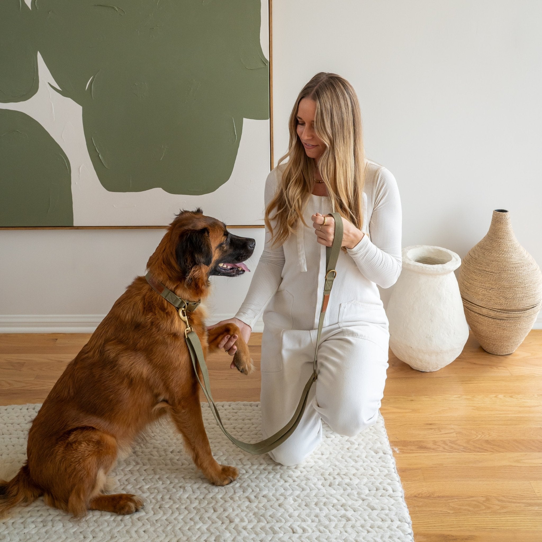 Hemp Cotton Dog Collar - Durable, Sustainable, Adjustable, Lightweight & Soft