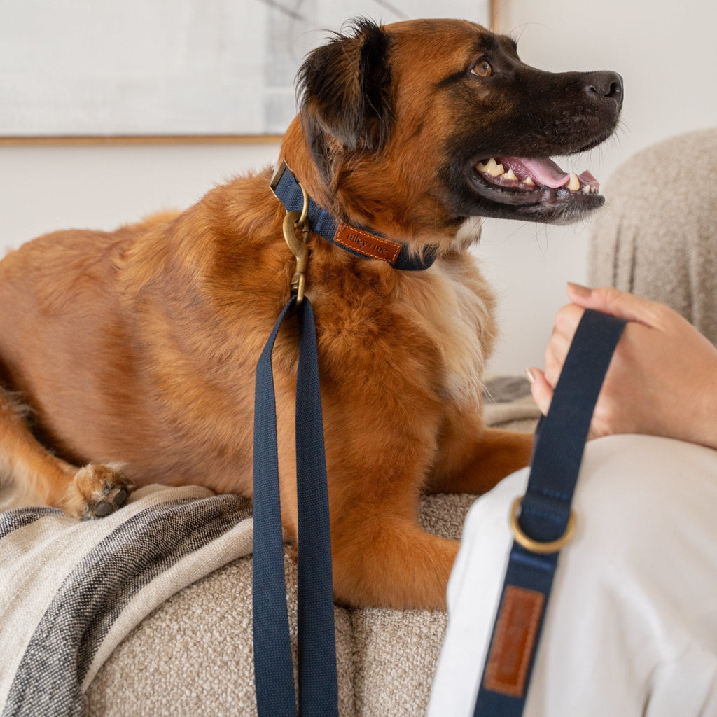 Hemp Cotton Dog Collar - Durable, Sustainable, Adjustable, Lightweight & Soft