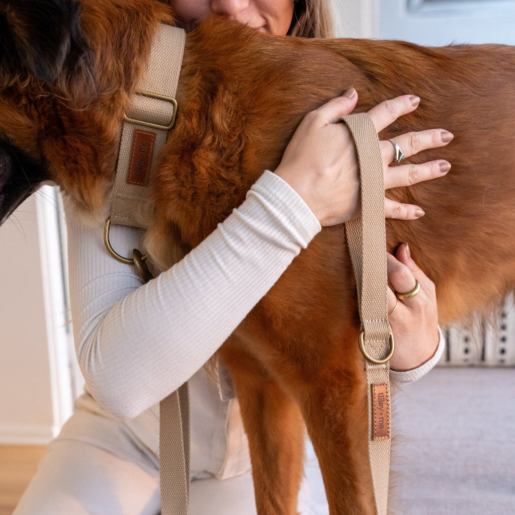 Hemp Cotton Dog Collar - Durable, Sustainable, Adjustable, Lightweight & Soft