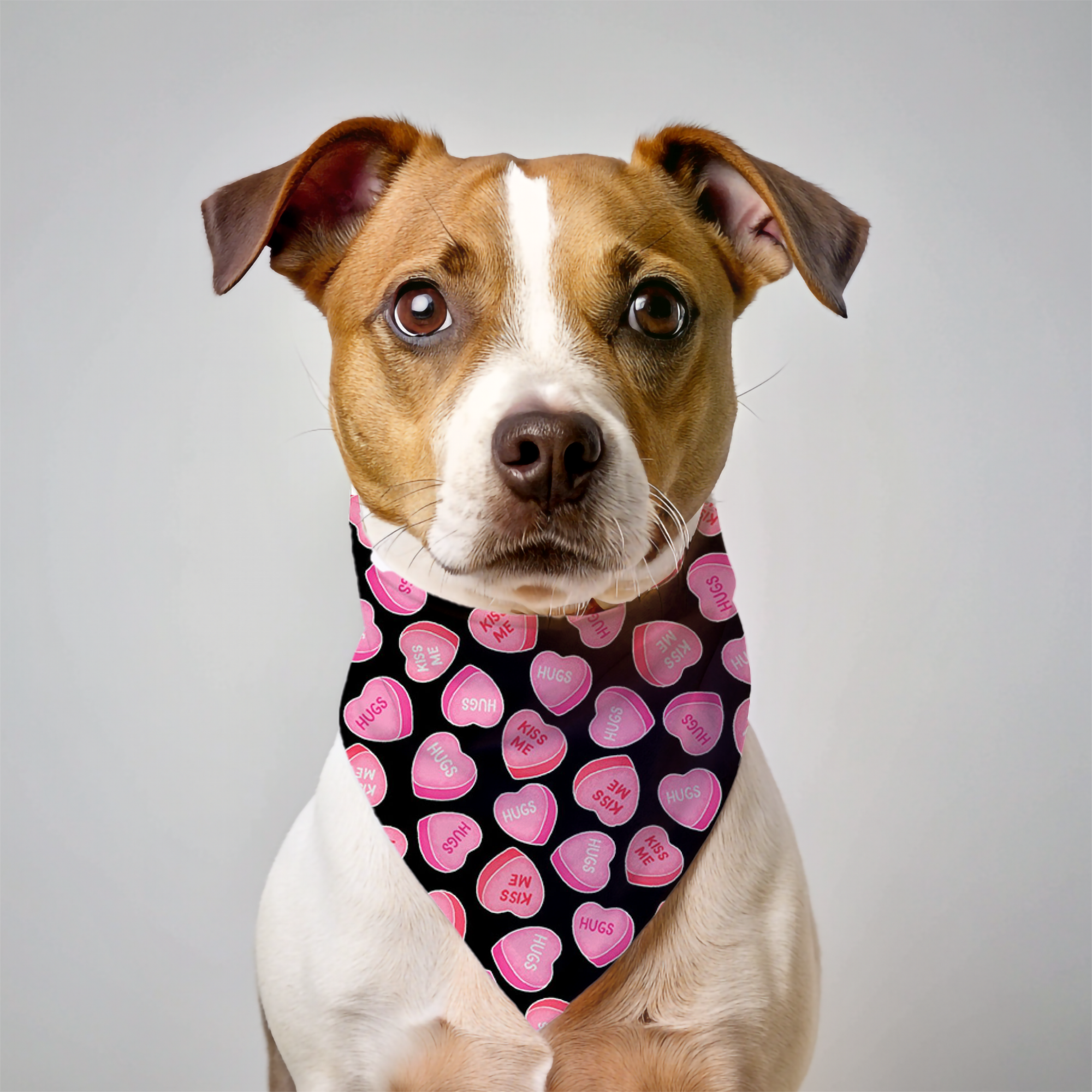 Valentines Day Dog Bandana