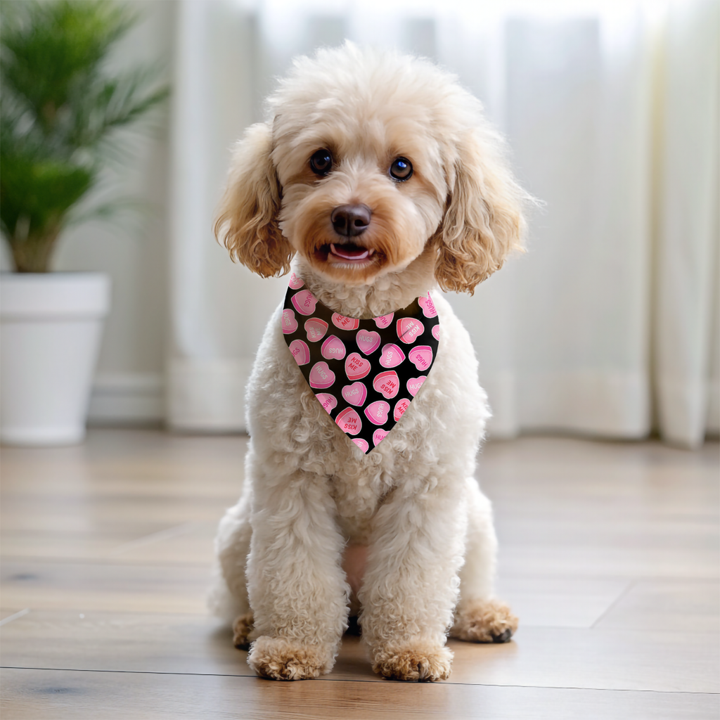 Valentines Day Dog Bandana