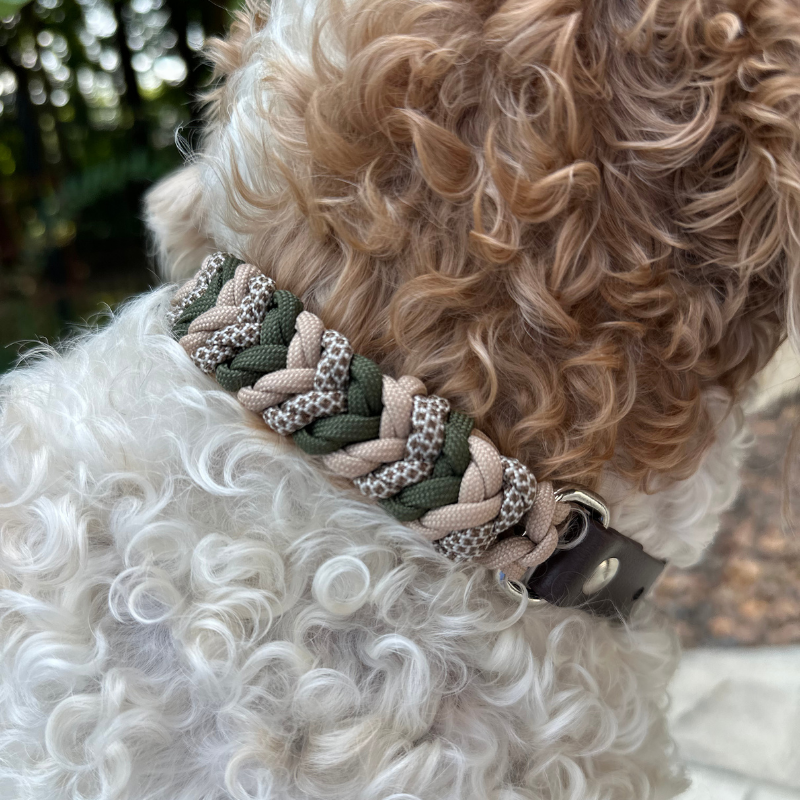 Coiled Charm Hand Braided Dog Collar in Olive, Light Tan, & Coyote Brown Diamonds