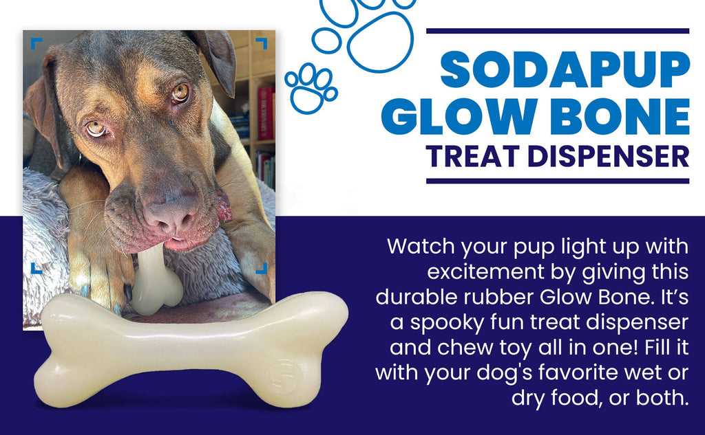 PUP-X Rubber Bone Dog Toy - Durable, Floats, Chew Toy for Large Dogs | USA