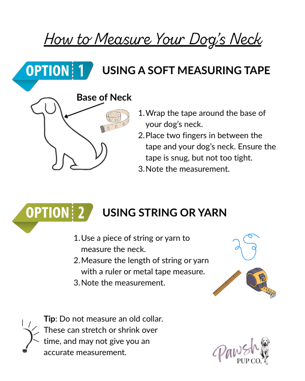 Coiled Charm Hand Braided Dog Collar in Black, Tan, & Cream