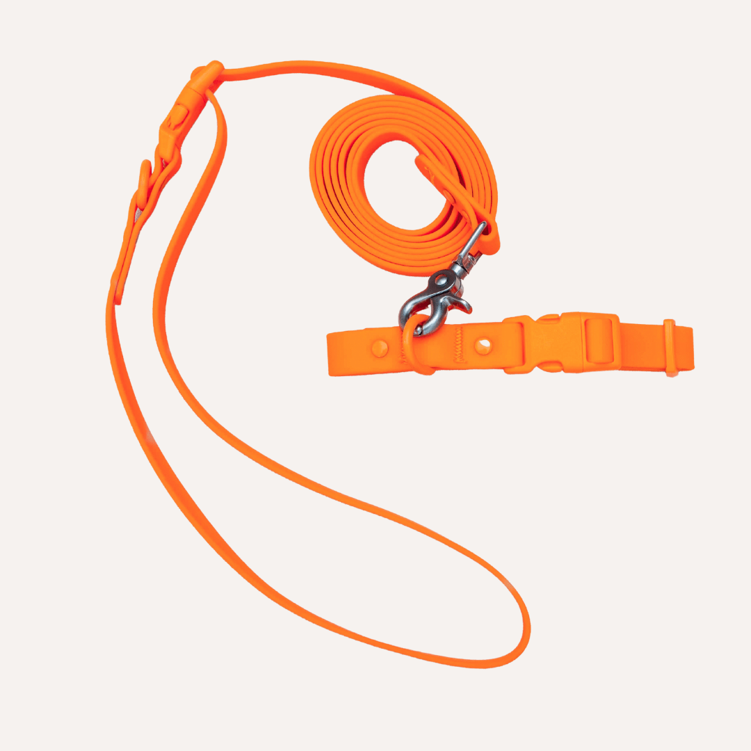 PVC Dog Collar - All Weather Waterproof Durable & Odor-Resistant