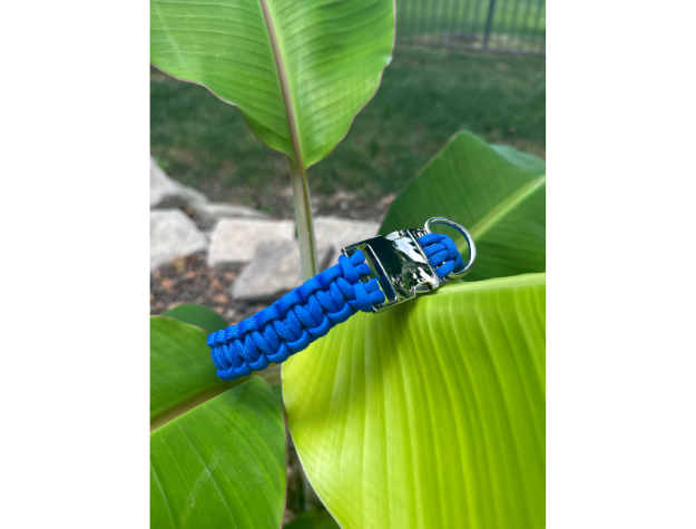 Cobra Braid in Royal Blue - Handmade Dog Collar