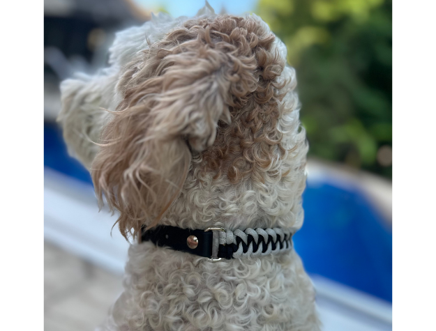 Fishtail Hand Braided Dog Collar in Black & Smoke