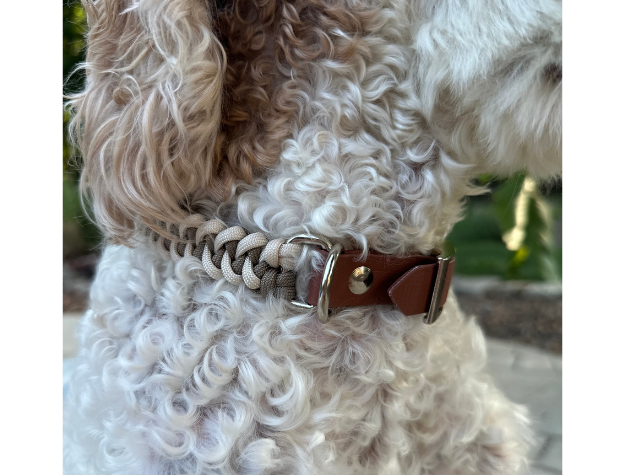 Fishtail Hand Braided Dog Collar in Tan & Cream