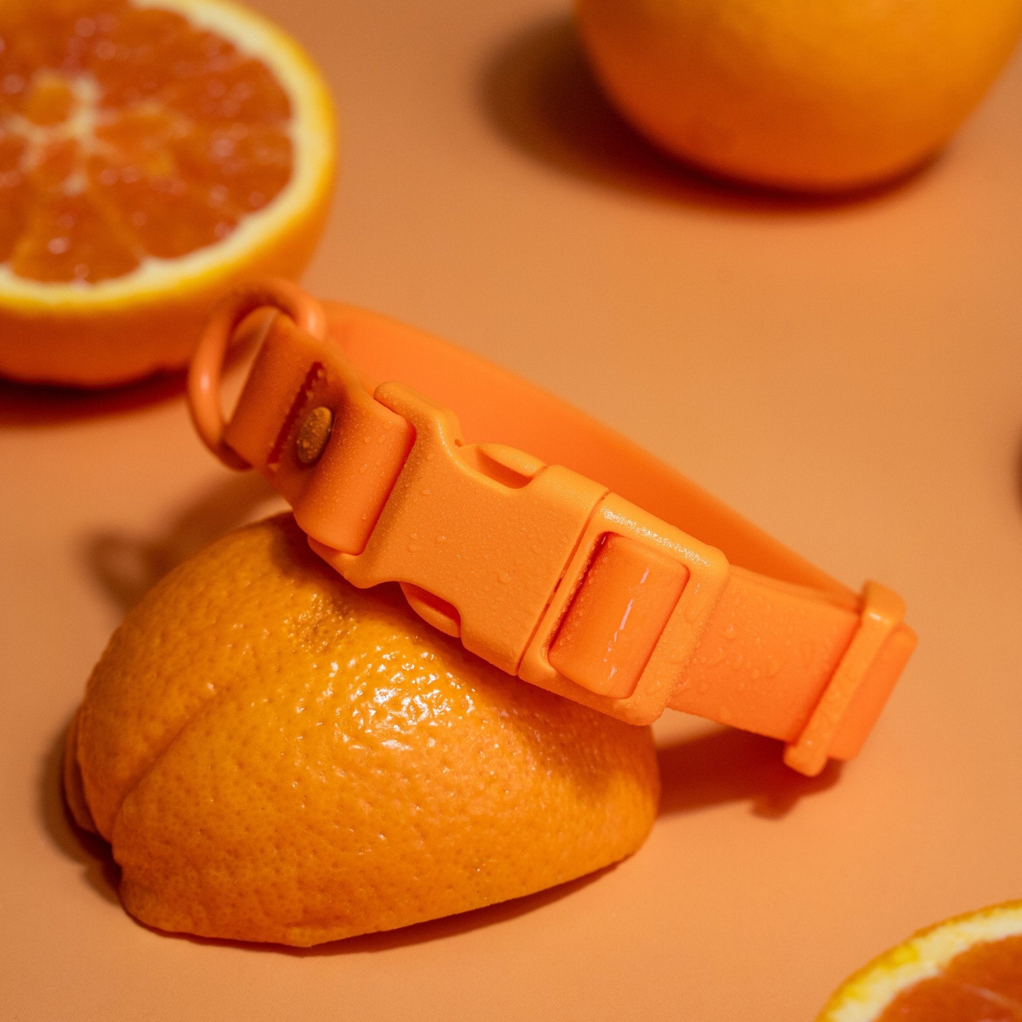 PVC Dog Collar - All Weather Waterproof Durable & Odor-Resistant