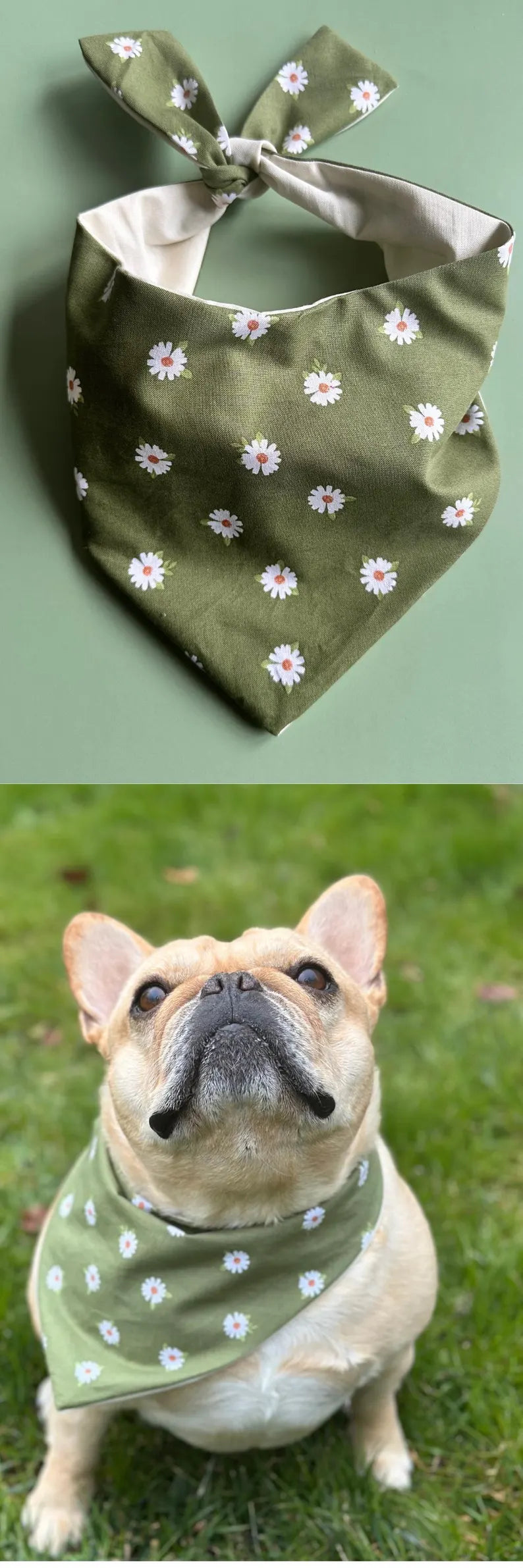 Daisy Dog Bandana