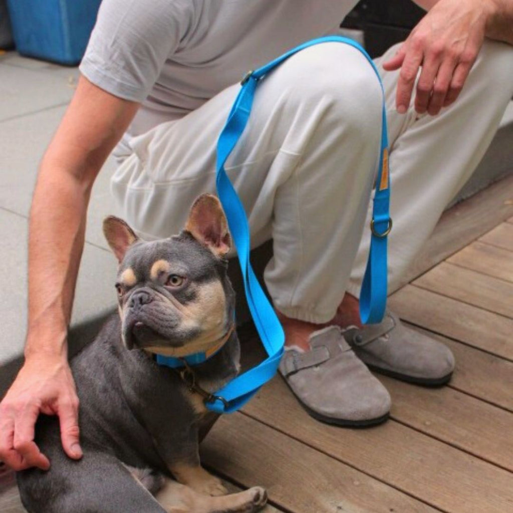 Hemp Cotton Dog Collar - Durable, Sustainable, Adjustable, Lightweight & Soft