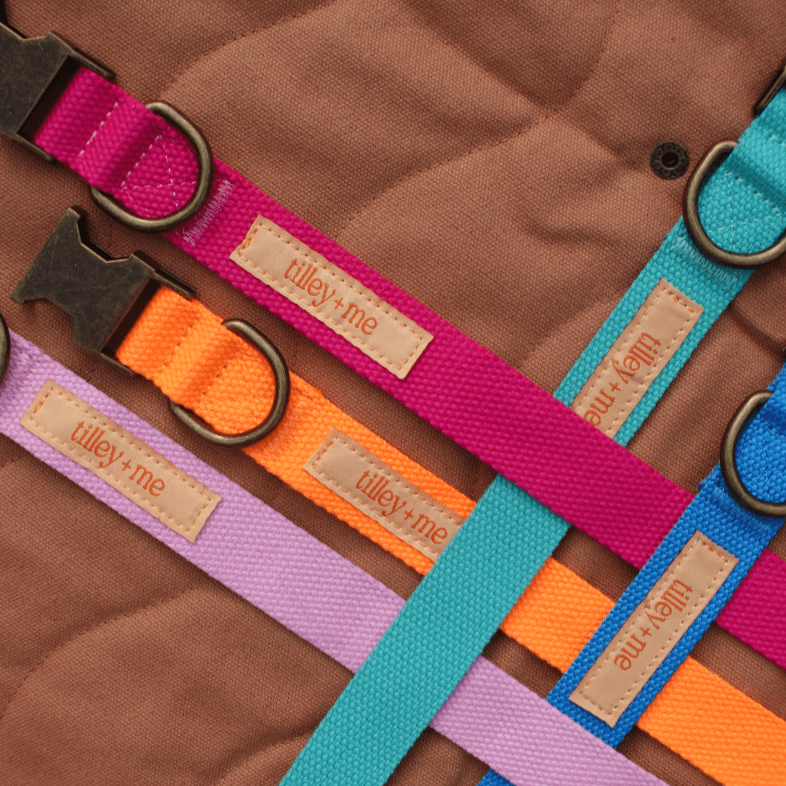 Hemp Cotton Dog Collar - Durable, Sustainable, Adjustable, Lightweight & Soft